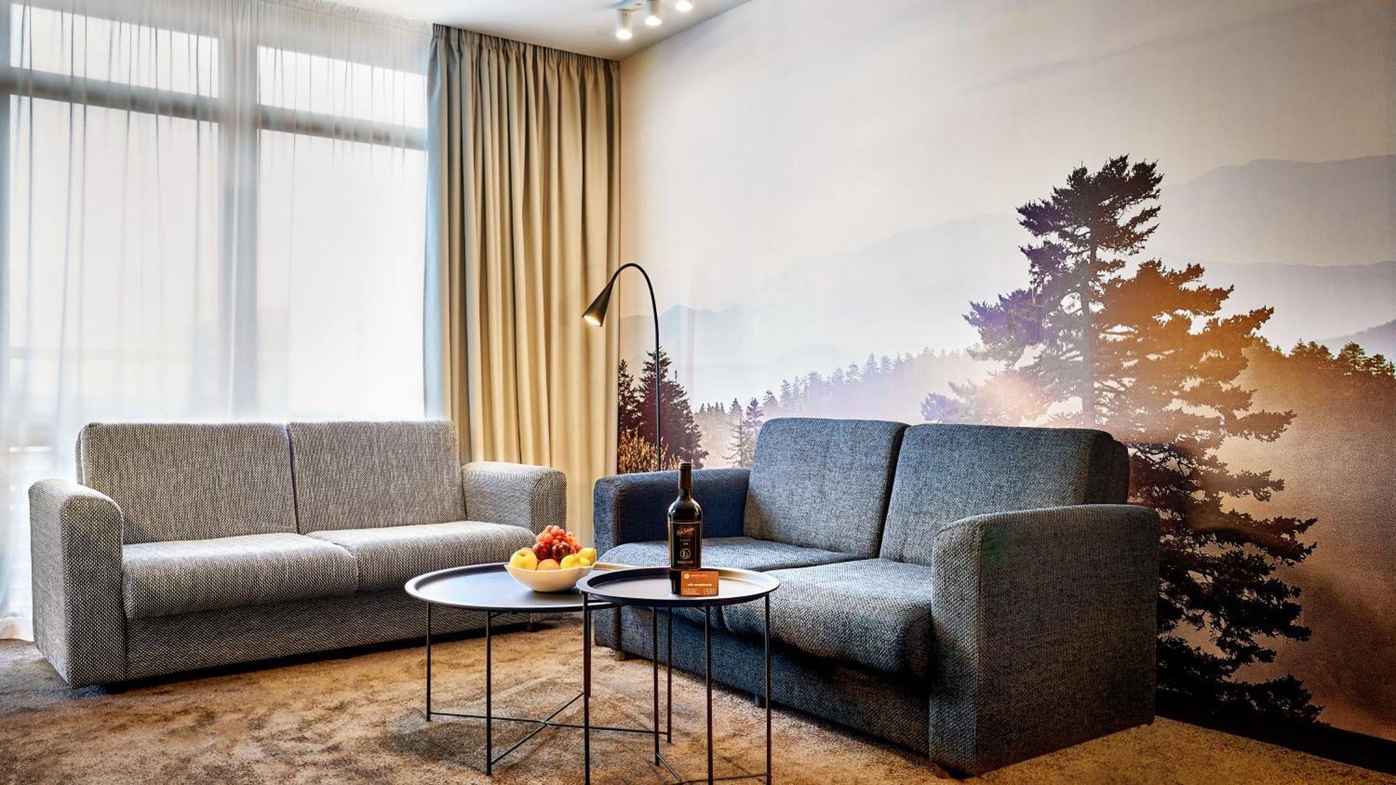 شقق وسبا لاكي بانسكو&ريلاكس الفندقية بالخدمة الذاتية المظهر الخارجي الصورة A living room in a hotel