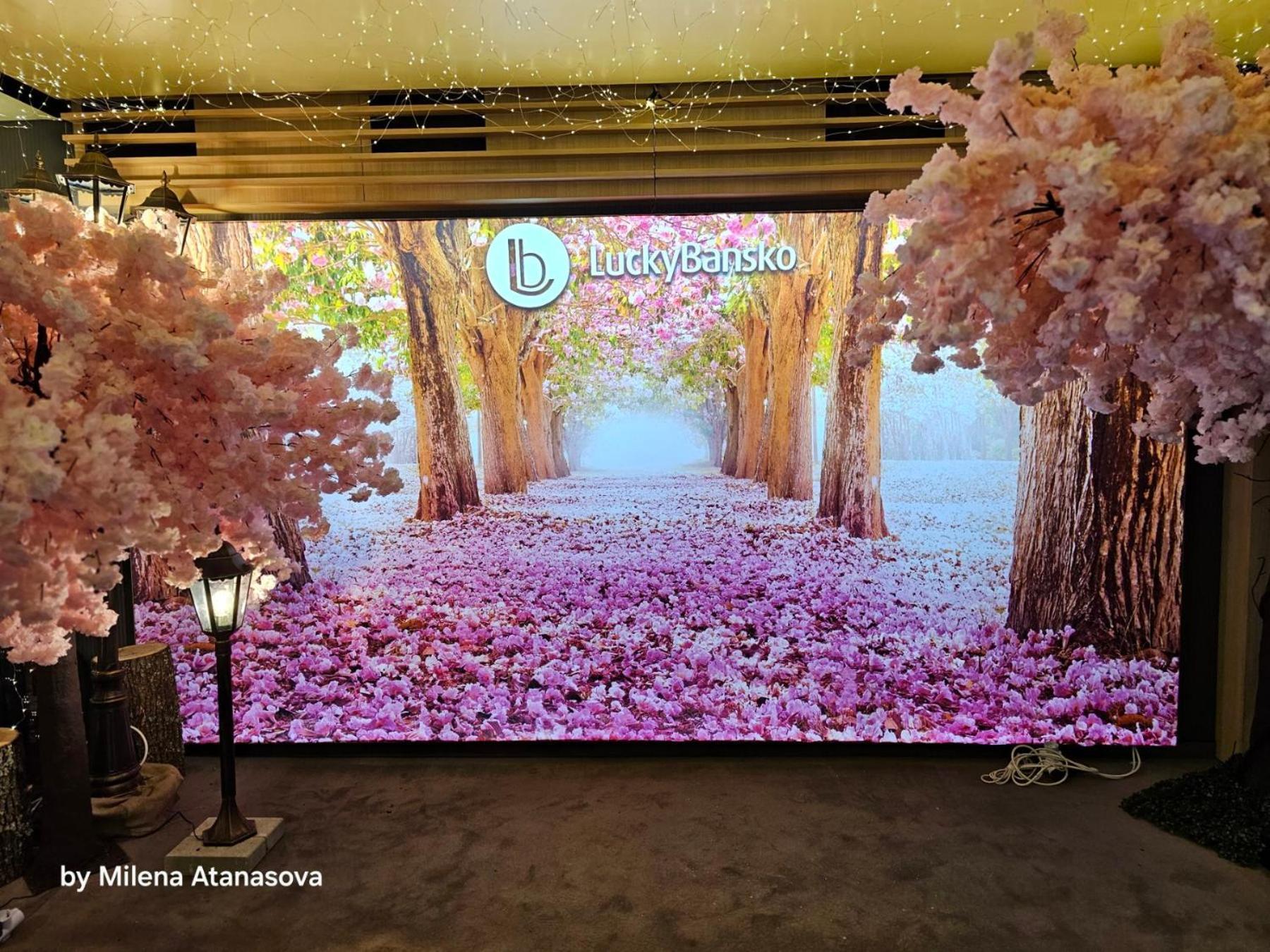 شقق وسبا لاكي بانسكو&ريلاكس الفندقية بالخدمة الذاتية المظهر الخارجي الصورة The entrance of the hotel